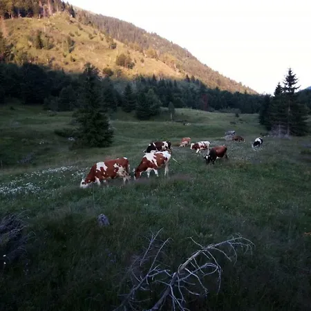 Suvodo Katun Bigradska Gora Apartament